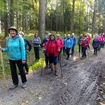 Der Pilgerstab geht voran