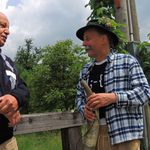Grünau im Almtal