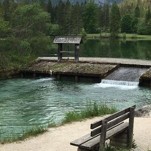 Schiederweiher