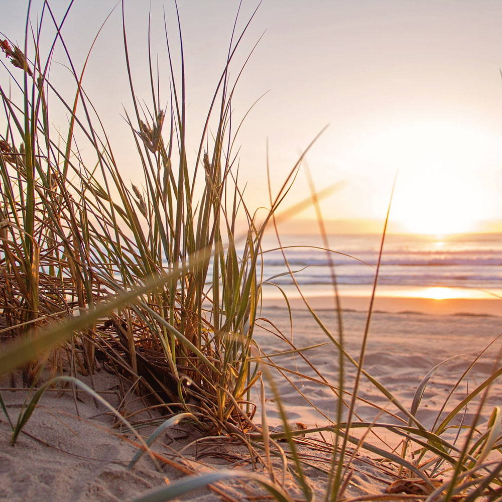 Abendstimmung am Meer