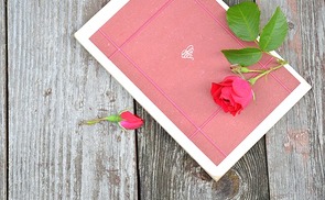 Buch Rose