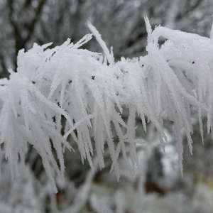 Schneekristalle