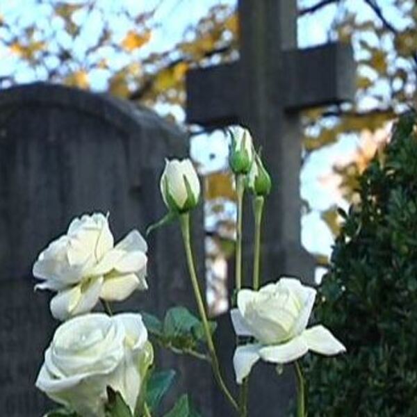 Friedhofverwaltung Taufkirchen an der Pram