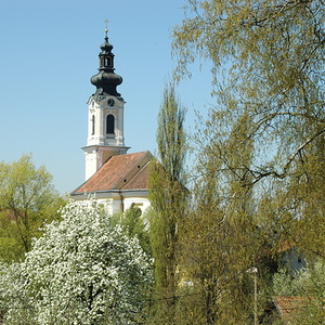 65 Meter-Turm