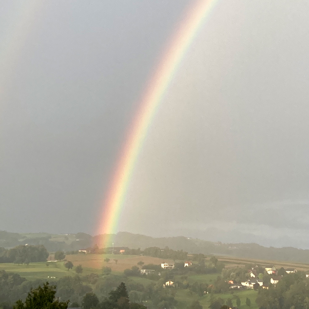 Regenbogen